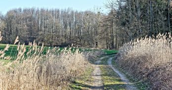 PROCHAINES BATTUES DE CHASSE