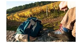 MARCHE organisée par les Marcheurs de l'Outre Forêt